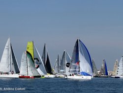 Pionieri_La80_006